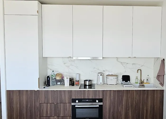 Deux Pieces Cosy, Front De Mer, Terrasse Et 2 Sdb Antibes